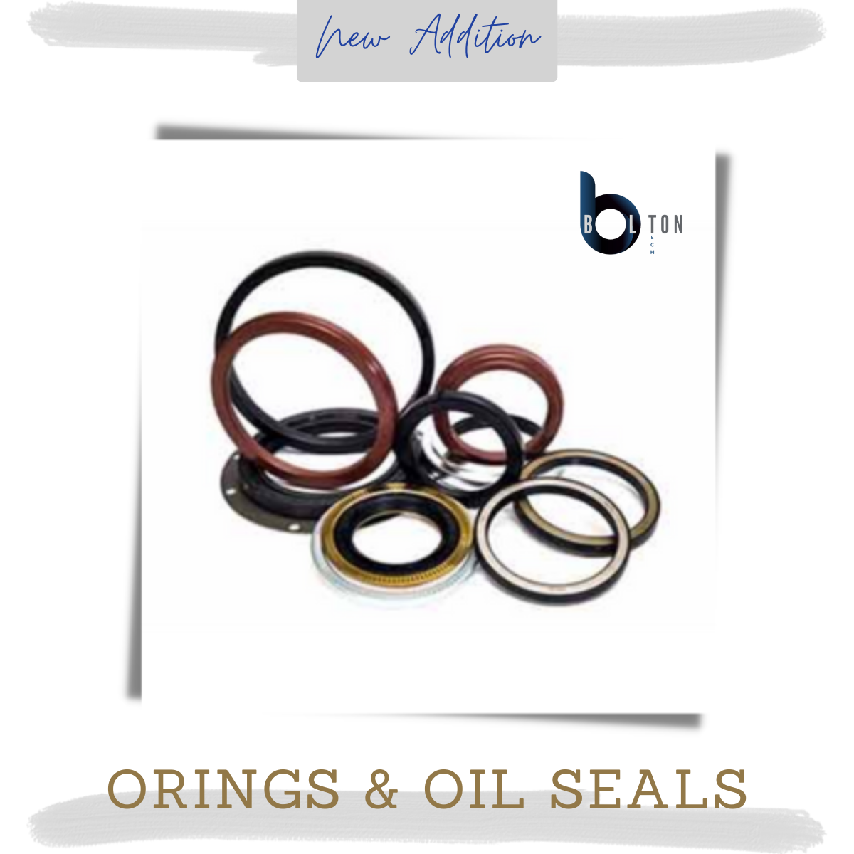 Orings & Oil Seals