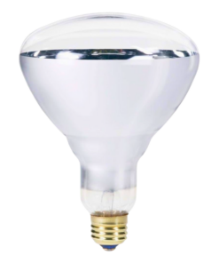 Philips Incandescent Infrared Lamp
